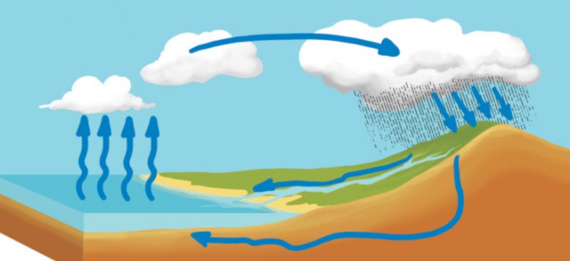 Круговорот воды: определение, значение на Земле, схема